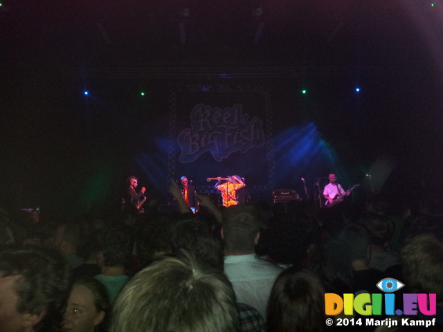 20140201_212200 Reel Big Fish